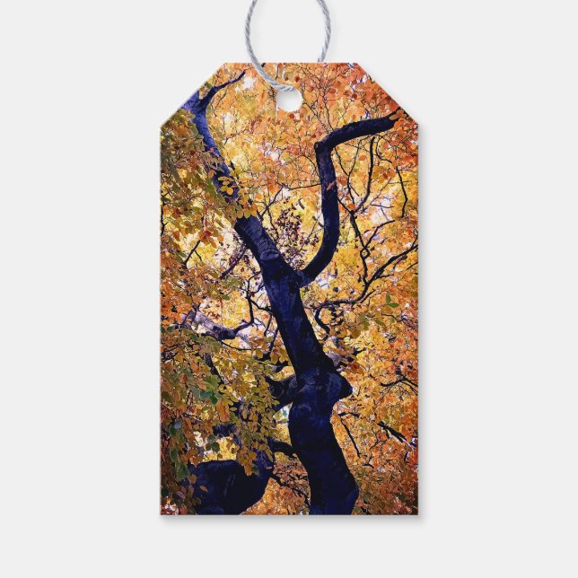 Gelbe und orangefarbene Blätter Geschenkanhänger (Vorderseite)