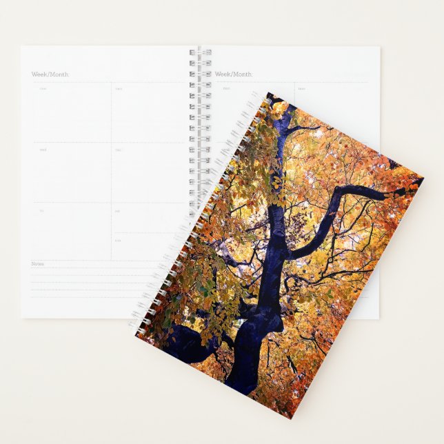 Gelbe und orangefarbene Blätter Planer (Anzeige)