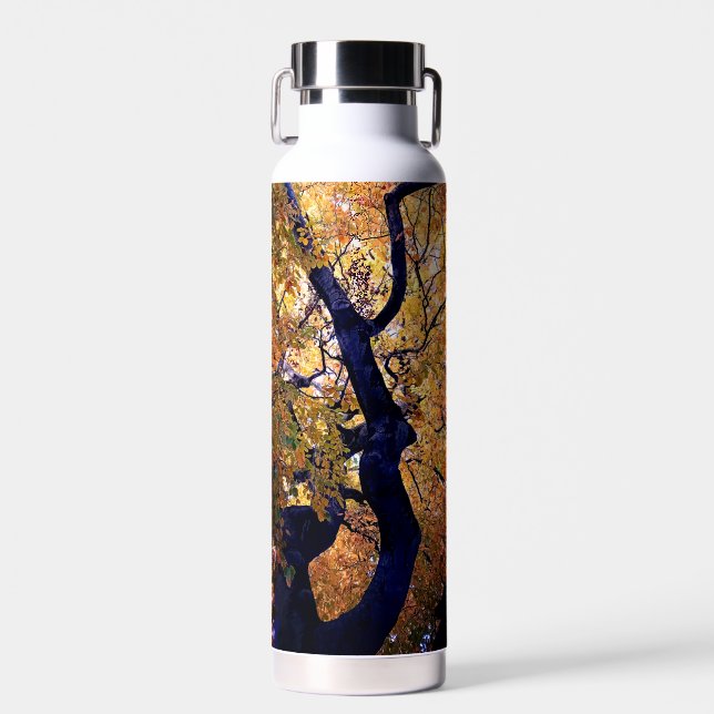 Gelbe und orangefarbene Blätter Trinkflasche (Vorne)