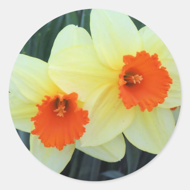 Gelbe und orangefarbene Kleidungsstücke Runder Aufkleber (Vorderseite)