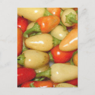 Gelbe und orangefarbene Paprikaschoten Postkarte