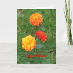 Gelbe und orangefarbene Rose, besonderer Geburtsta Karte