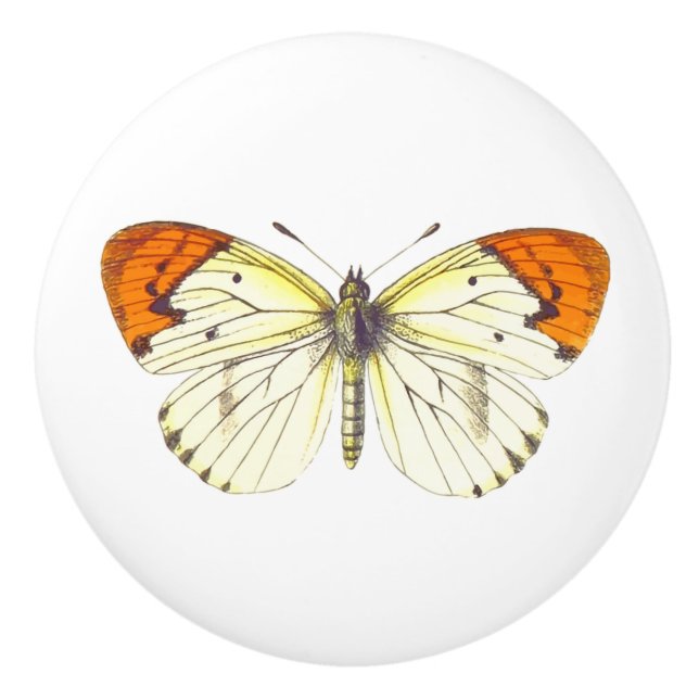 Gelbe und orangefarbene Schmetterlinge Keramikknauf (Vorderseite)