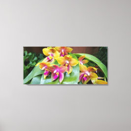 Gelbe und rosa Orchideen-Blume Leinwanddruck