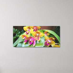 Gelbe und rosa Orchideen-Blume Leinwanddruck