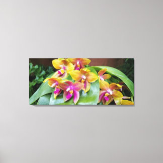 Gelbe und rosa Orchideen-Blume Leinwanddruck
