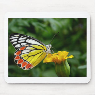 Gelbe und rote Schmetterlinge auf der gelben Blume Mousepad
