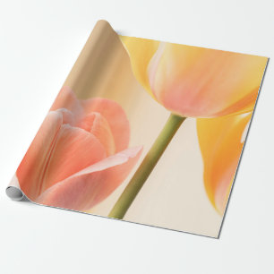 GELBE UND ROTE TULIP IN BLUME NAHES FOTO GESCHENKPAPIER
