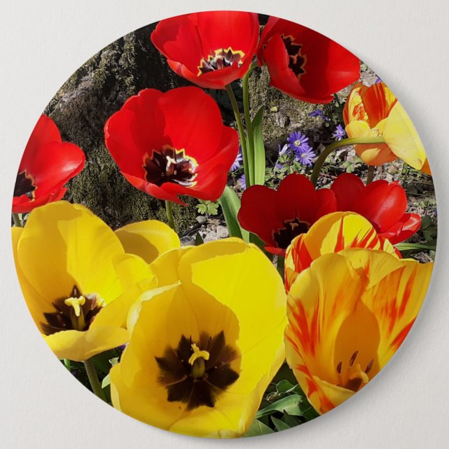 Gelbe und rote Tulissen Button (Vorderseite)