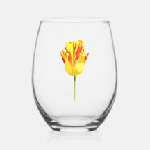 Gelbe und rote Tulpe
