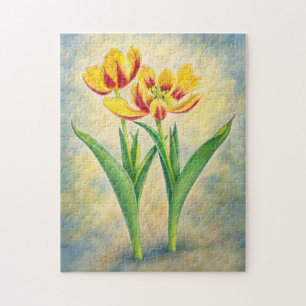Gelbe und rote Tulpen