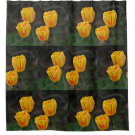Gelbe und rote Tulpen Duschvorhang