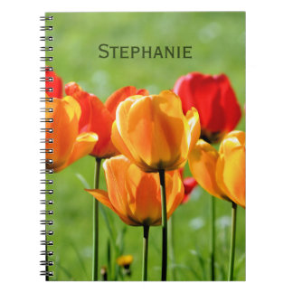 Gelbe und rote Tulpen Notizblock