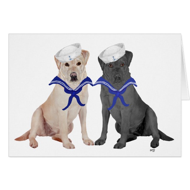 Gelbe und schwarze Labrador-Retrievers (Vorderseite (Horizontal))