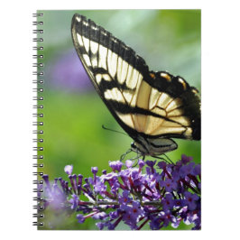 Gelbe und schwarze Schmetterlinge auf dem Lavendel Notizblock