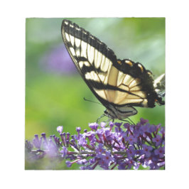 Gelbe und schwarze Schmetterlinge auf dem Lavendel Notizblock