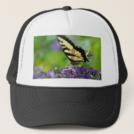 Gelbe und schwarze Schmetterlinge auf dem Lavendel Truckerkappe