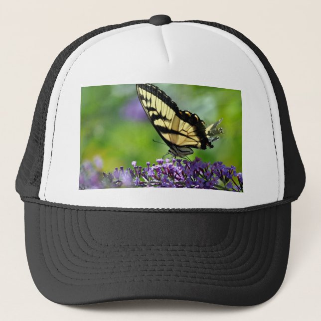 Gelbe und schwarze Schmetterlinge auf dem Lavendel Truckerkappe (Vorderseite)