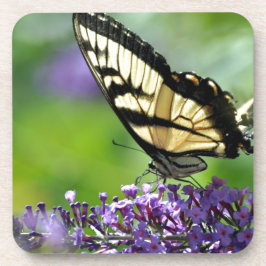 Gelbe und schwarze Schmetterlinge auf dem Lavendel Untersetzer
