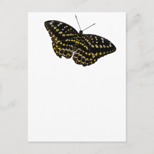 Gelbe und schwarze Schmetterlinge Kunst Zeichnend Postkarte