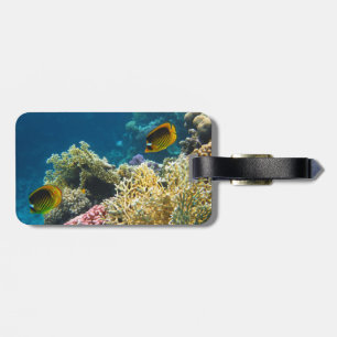 Gelbe und schwarze Schmetterlings-Fische Gepäckanhänger