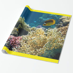 Gelbe und schwarze Schmetterlings-Fische Geschenkpapier