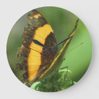Gelbe und schwarze tropische Schmetterlingsuhr