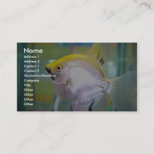 Gelbe und silberne Fische im Behälter Visitenkarte