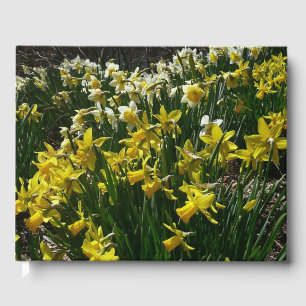 Gelbe und weiße Kleidung Frühlingsblumen Gästebuch
