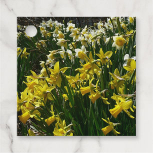Gelbe und weiße Kleidung Frühlingsblumen Geschenkanhänger