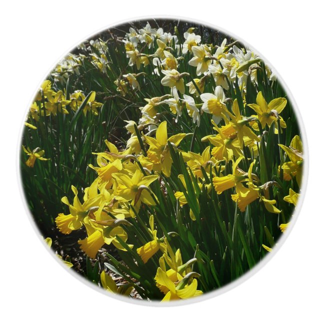 Gelbe und weiße Kleidung Frühlingsblumen Keramikknauf (Vorderseite)