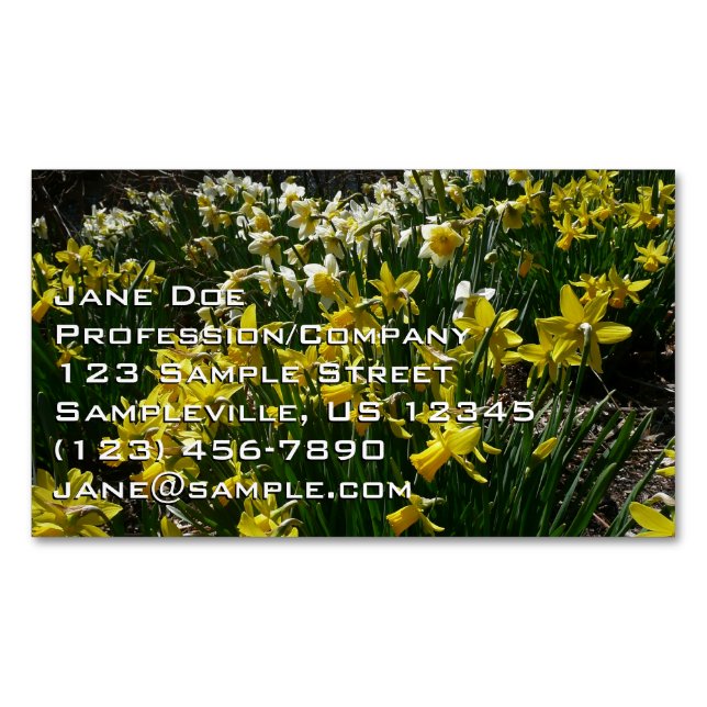 Gelbe und weiße Kleidung Frühlingsblumen Magnetische Visitenkarte (Vorderseite)