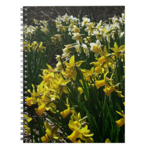 Gelbe und weiße Kleidung Frühlingsblumen Notizblock