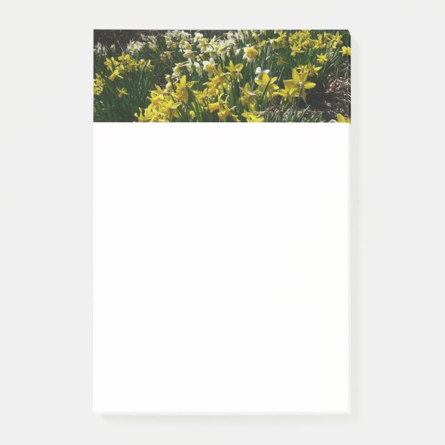 Gelbe und weiße Kleidung Frühlingsblumen Post-it Klebezettel (Vorderseite)