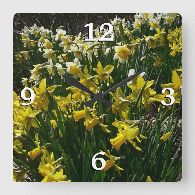 Gelbe und weiße Kleidung Frühlingsblumen Quadratische Wanduhr (Vorderseite)