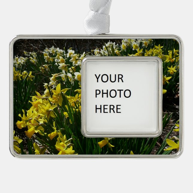 Gelbe und weiße Kleidung Frühlingsblumen Rahmen-Ornament Silber (Vorderseite)