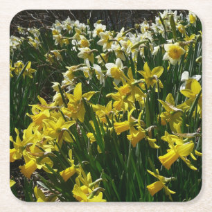 Gelbe und weiße Kleidung Frühlingsblumen Rechteckiger Pappuntersetzer