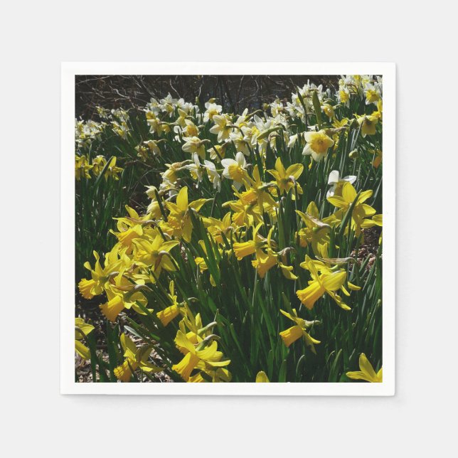 Gelbe und weiße Kleidung Frühlingsblumen Serviette (Vorderseite)