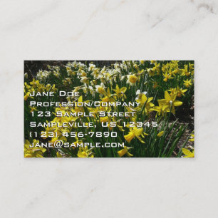 Gelbe und weiße Kleidung Frühlingsblumen Visitenkarte