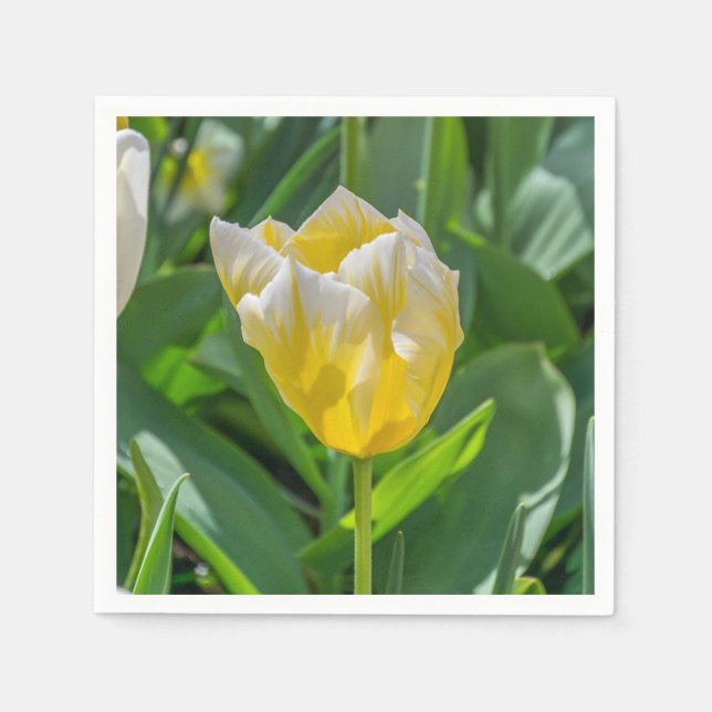 Gelbe und weiße Tulpe Serviette (Vorderseite)