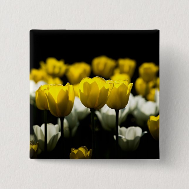 Gelbe und weiße Tulpen Button (Vorderseite)