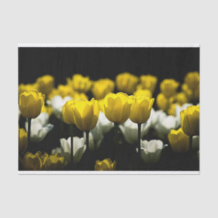 Gelbe und weiße Tulpen Seidenpapier