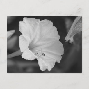 Gelbe vier Uhr Postkarte