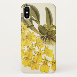 Gelbe Vintage-Oncidium-Orchidee, tropische Blumen title_seo2