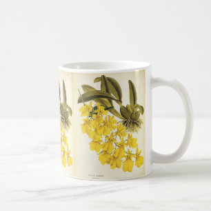 Gelbe Vintage-Oncidium-Orchidee, tropische Blumen Kaffeetasse