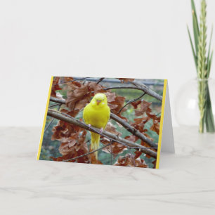Gelbe Vogelblindkarte Karte