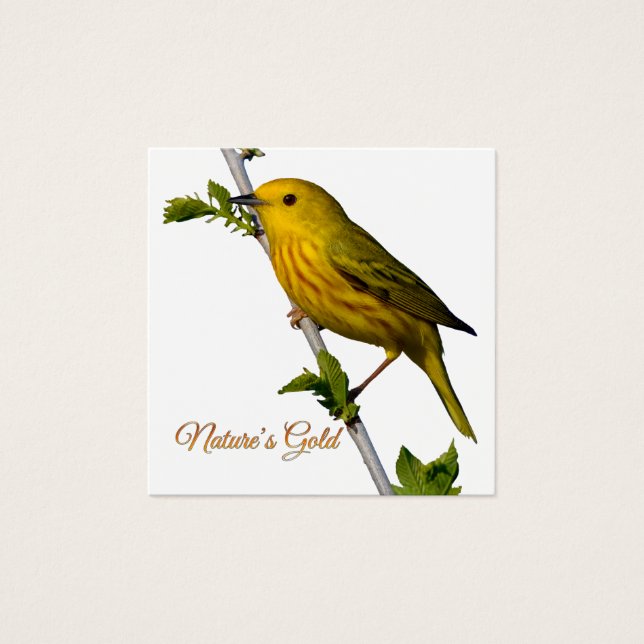 Gelbe Warbler "Nature's Gold" gedruckte Kunstkarte (Vorderseite)
