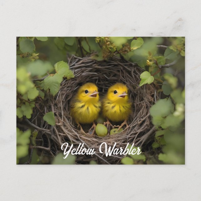 Gelbe Warblerküken im Nest Postkarte (Vorderseite)