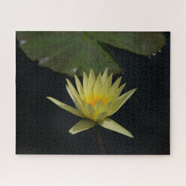 Gelbe Wasserlilie Jigsaw Puzzle (Horizontal)