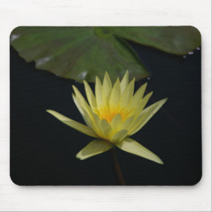 Gelbe Wasserlilie Mousepad